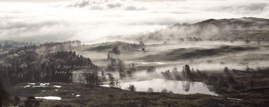 Lakeland Photography by Betty Fold Gallery